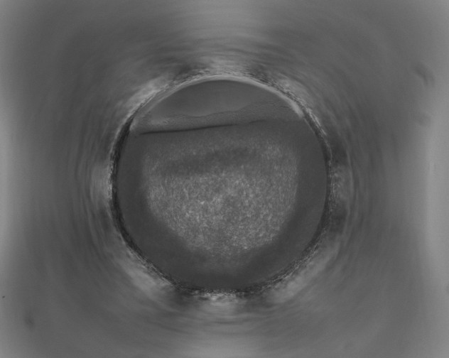 X0000112470395200908171203