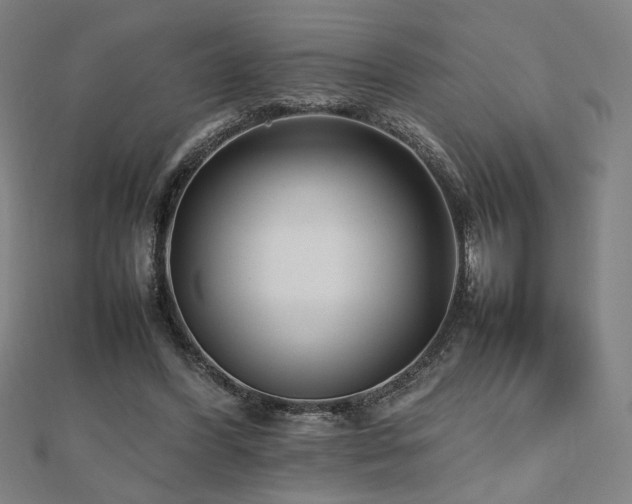 X0000112470396200908171203