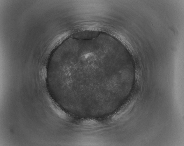 X0000112470397200908171203