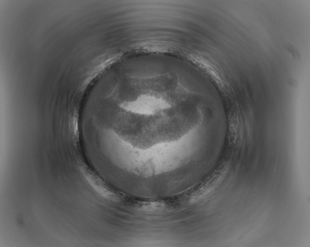 X0000112470398200908171203