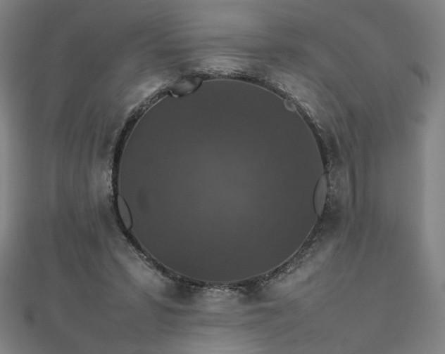 X0000112470399200908171203