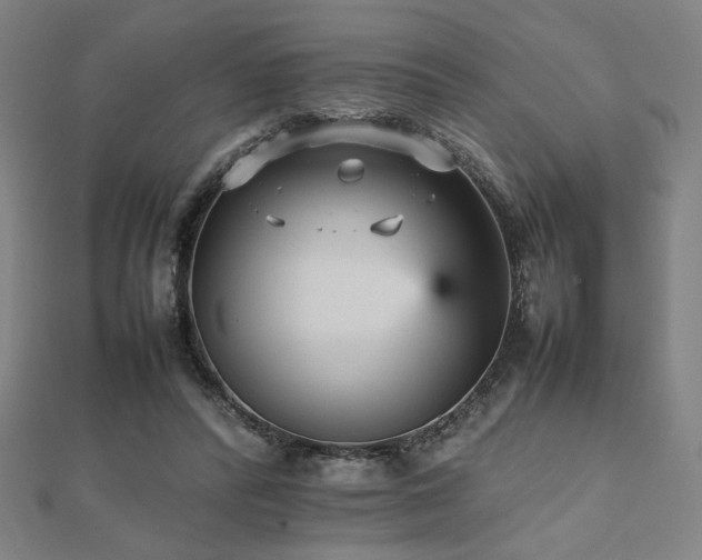 X0000112470400200908171203