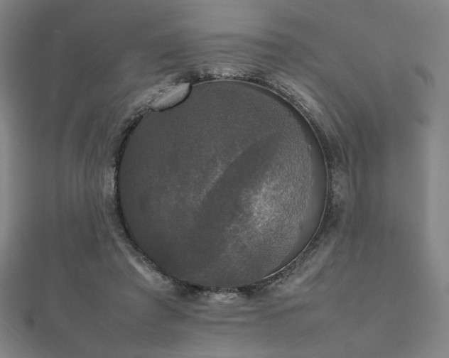 X0000112470401200908171203