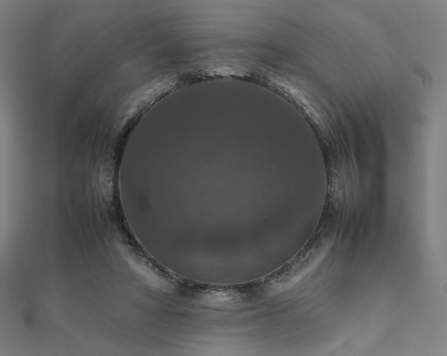 X0000112470402200908171203