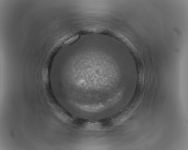 X0000112470403200908171203