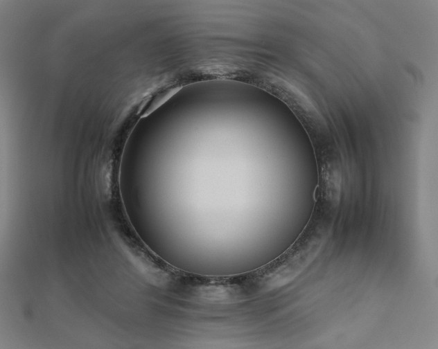 X0000112470404200908171203