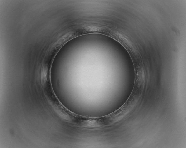 X0000112470406200908171202