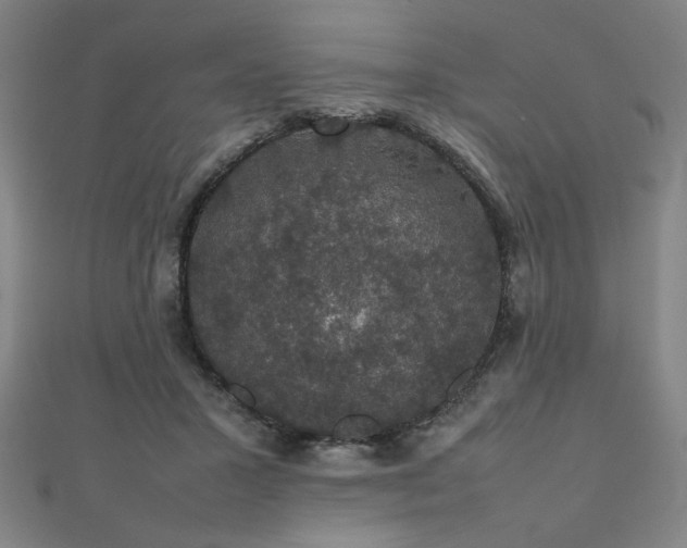 X0000112470407200908171202