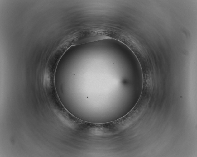 X0000112470408200908171202