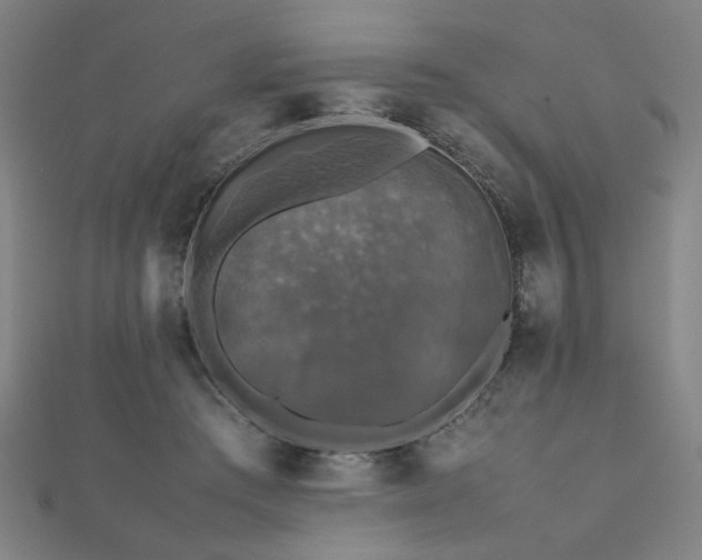 X0000112470409200908171202