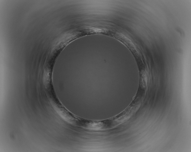 X0000112470410200908171202