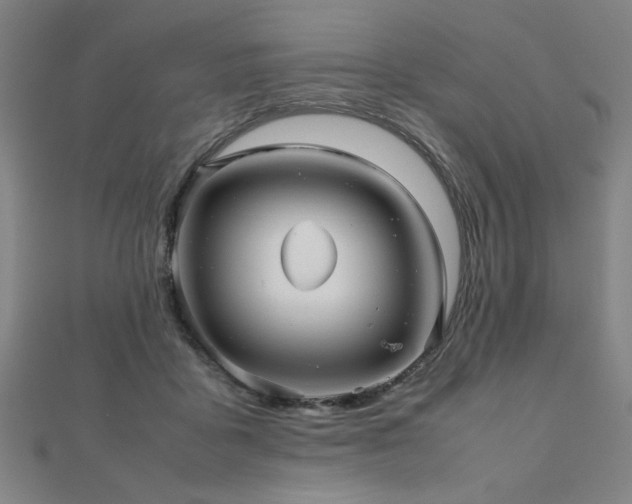 X0000112470411200908171202