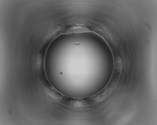 X0000112470412200908171202