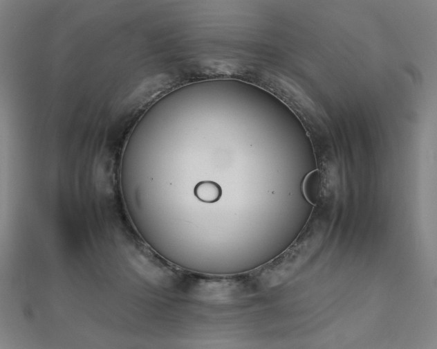 X0000112470414200908171202