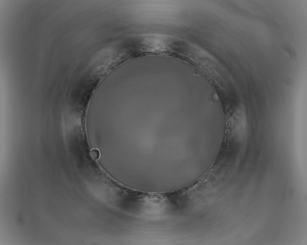 X0000112470415200908171202