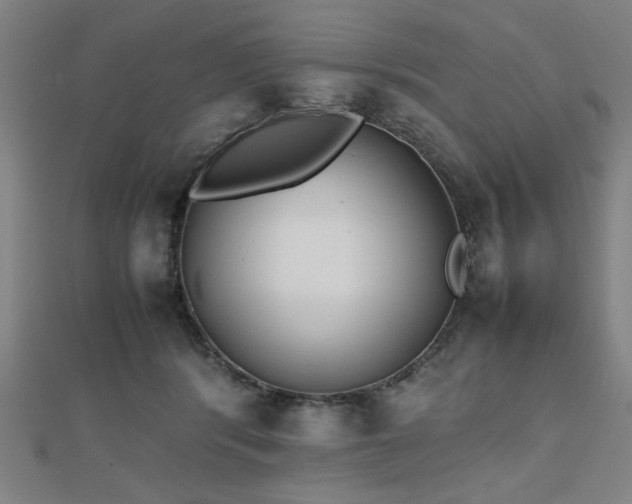 X0000112470416200908171202