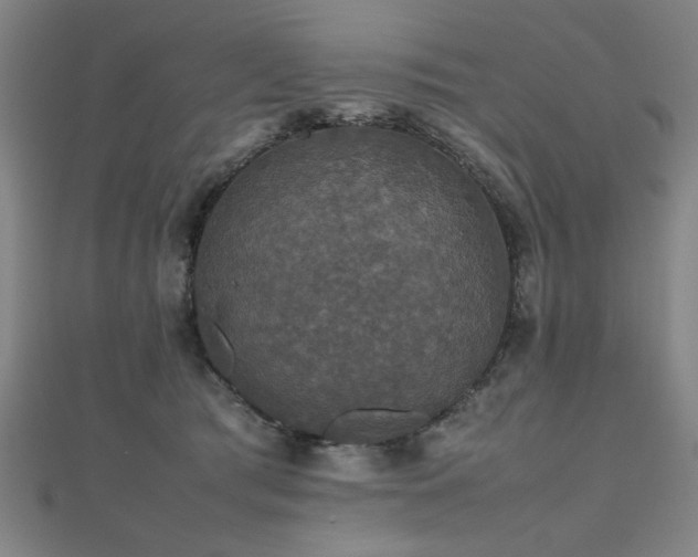 X0000112470417200908171202