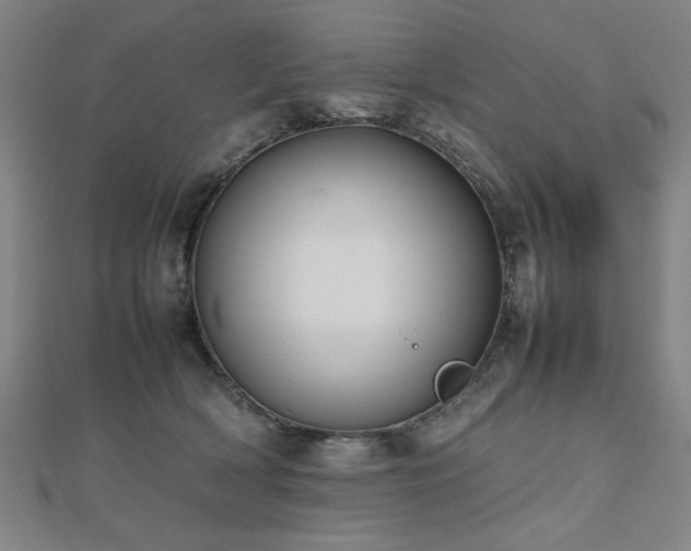 X0000112470418200908171202