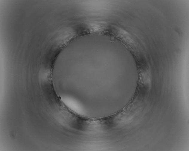 X0000112470419200908171202