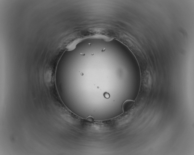 X0000112470420200908171202