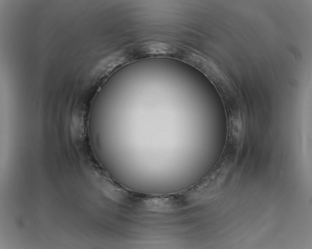 X0000112470422200908171202