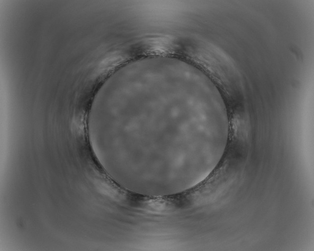 X0000112470423200908171202