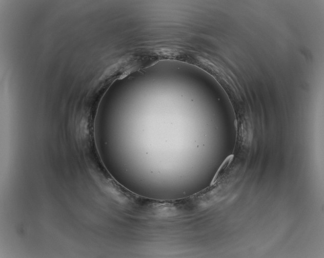 X0000112470424200908171202