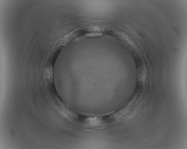 X0000112470425200908171202