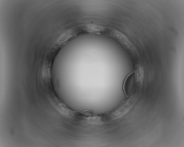 X0000112470426200908171202