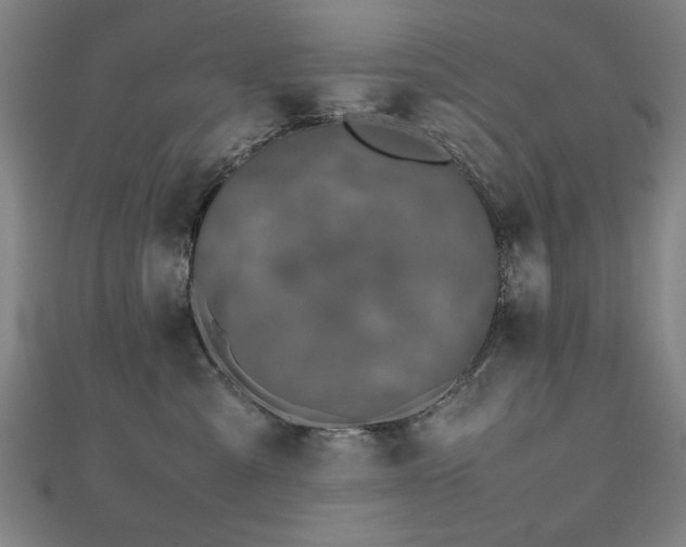 X0000112470427200908171202