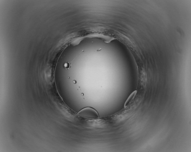 X0000112470428200908171202