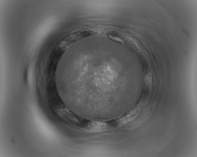 X0000112470429200908171202