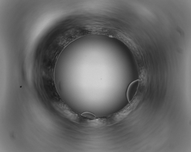 X0000112470430200908171202