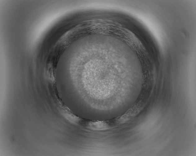 X0000112470431200908171202