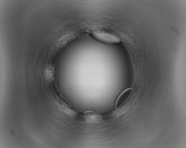 X0000112470432200908171202