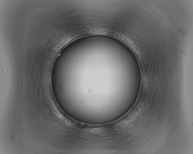 X0000112470433200908171201