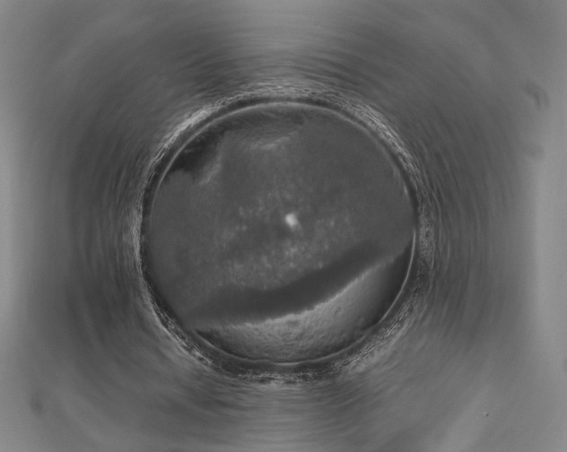 X0000112470434200908171201