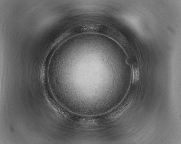 X0000112470435200908171201