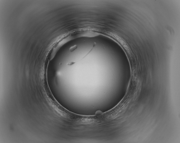 X0000112470437200908171201