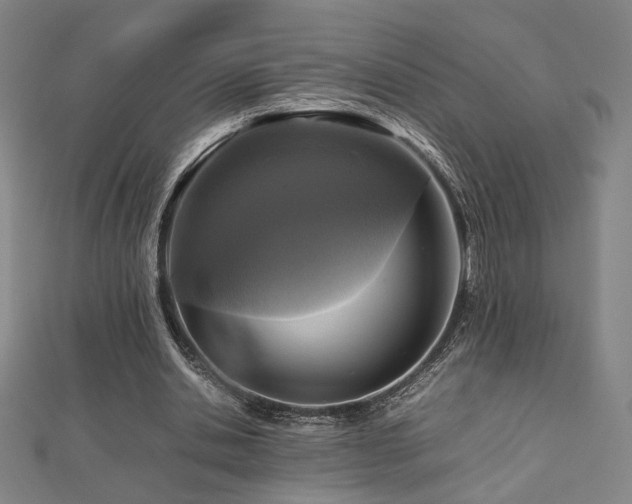 X0000112470438200908171201