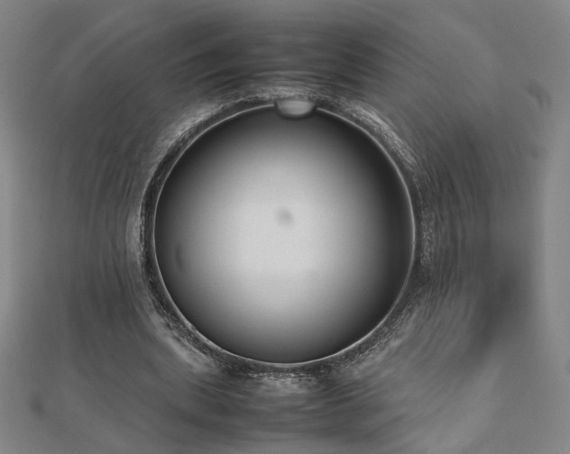 X0000112470439200908171201