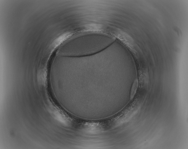 X0000112470440200908171201