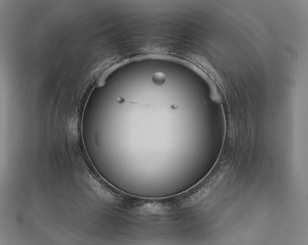 X0000112470441200908171202