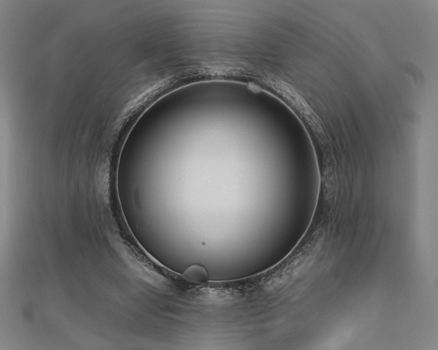 X0000112470442200908171202