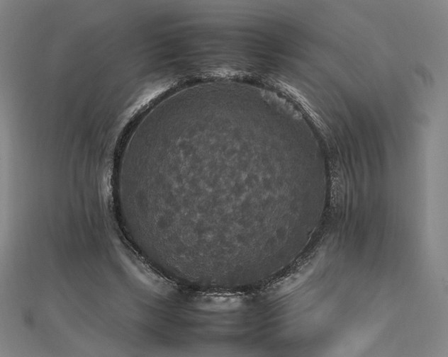 X0000112470443200908171202