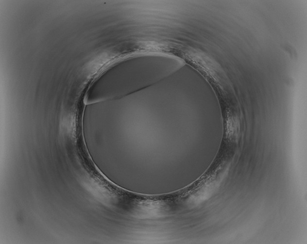 X0000112470444200908171202