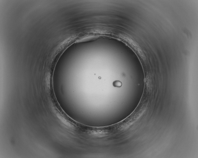 X0000112470445200908171202