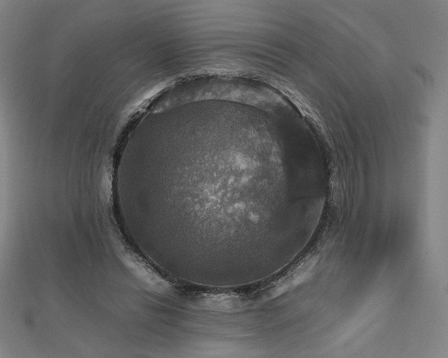 X0000112470446200908171202