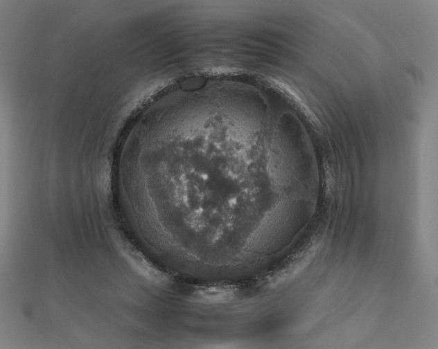 X0000112470447200908171202