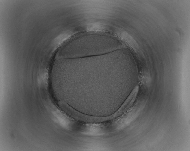 X0000112470448200908171202